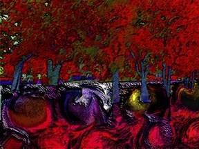 Forest and rootballs abstracted from Everything IS, a visual and philosophical theory of everything by Sarah Curtiss